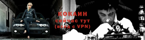 прущие крисы Кулебаки