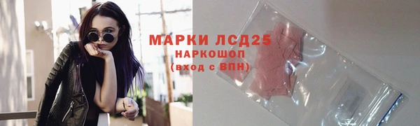соль ск Кукмор