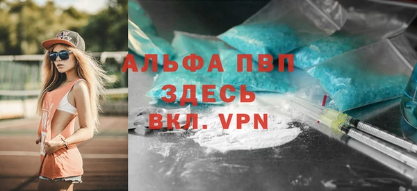 соль ск Кукмор