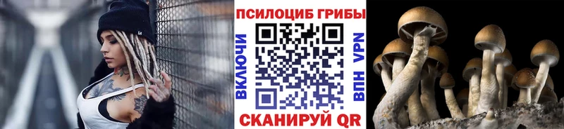 Псилоцибиновые грибы Psilocybine cubensis  сколько стоит  Мончегорск 