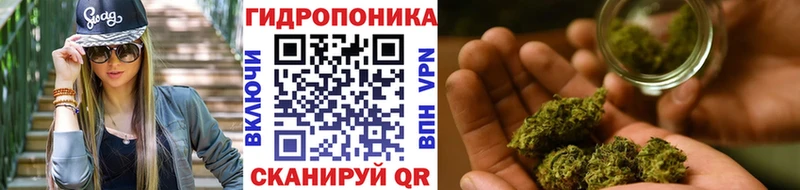 Шишки марихуана Amnesia  закладка  Мончегорск 
